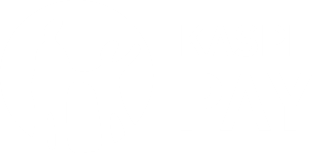 Kaspi Pay