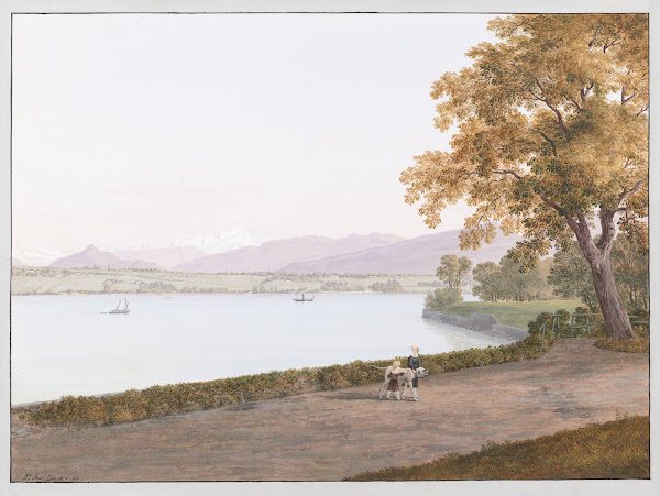 Vue du Lac Léman près de Genève