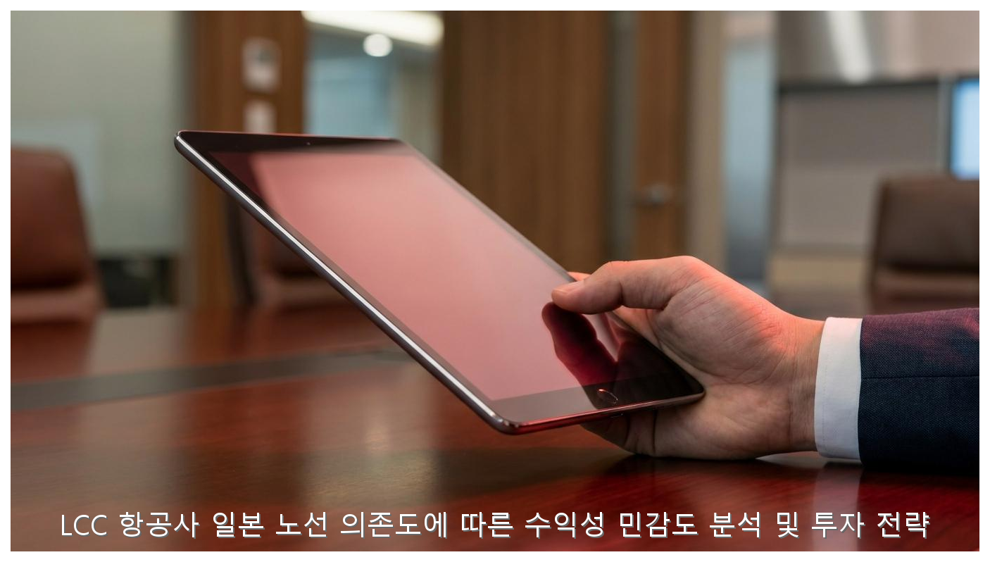 LCC 항공사 일본 노선 의존도에 따른 수익성 민감도 분석 및 투자 전략 핵심 안내 및 분석 인포그래픽 (5)