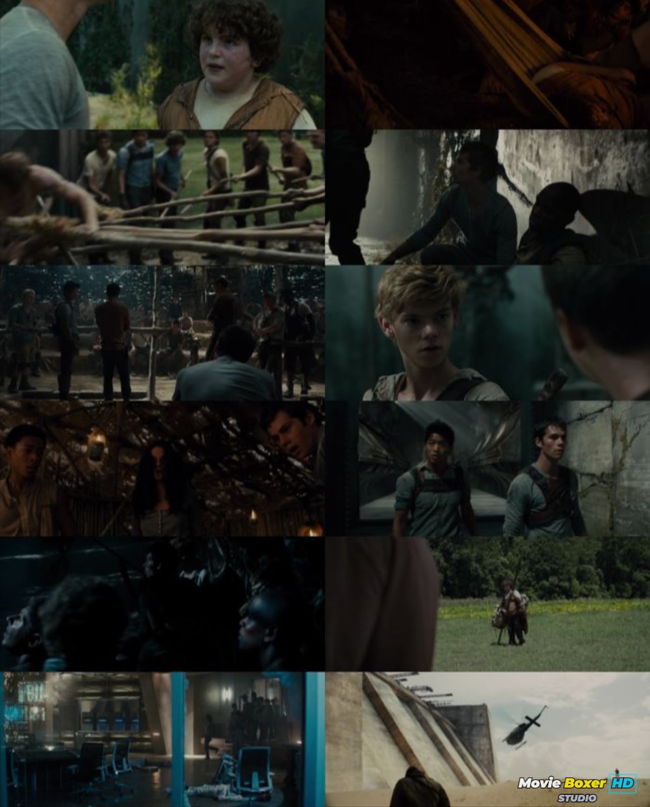 Screenshots Grid