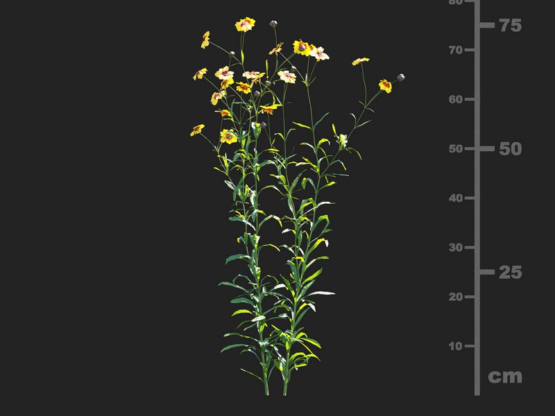 Maxtree - Plant Models Vol.112