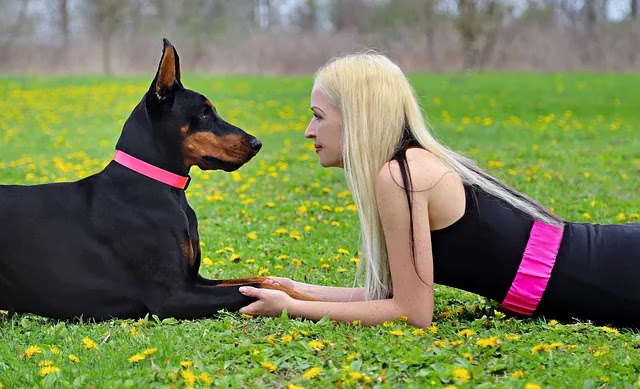 통신사 멤버십 포인트 소멸 전 알짜 활용처 TOP 5