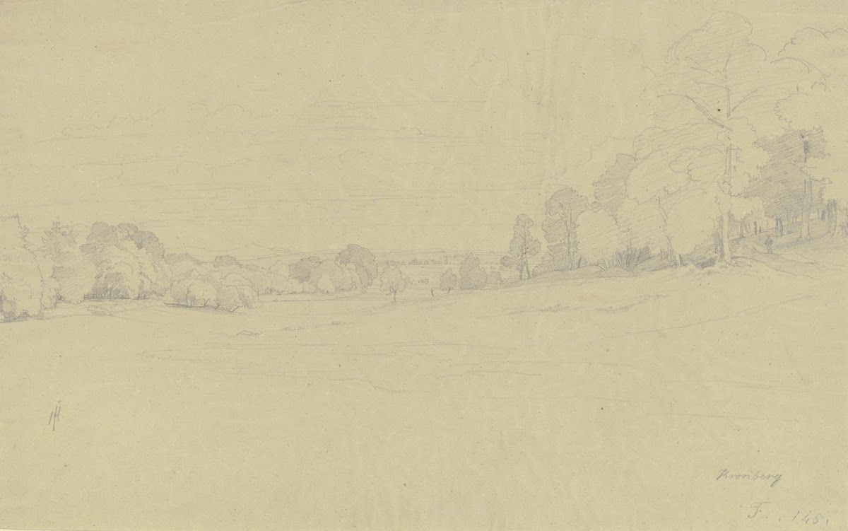 Meadow ground near Kronberg