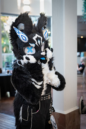 furdu2025-09739.jpg