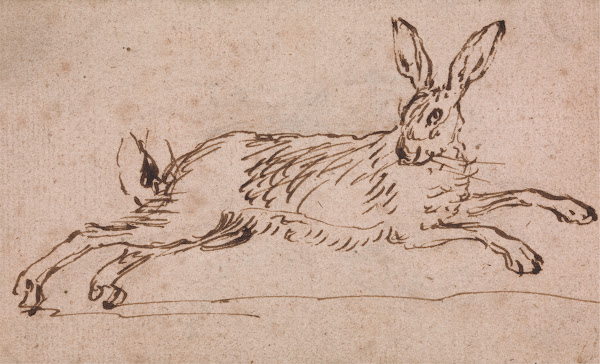 A Hare Running with Ears Pricked