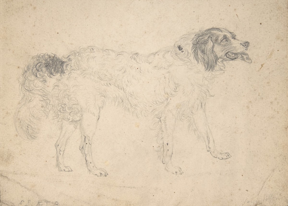 Study of a Herding Dog Facing Right 1810