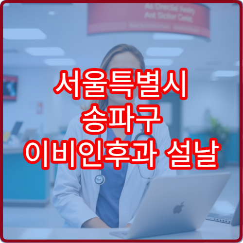 서울특별시 송파구 이비인후과 설날 명절 연휴 진료 병원 코감기·목 통증 상담 가능