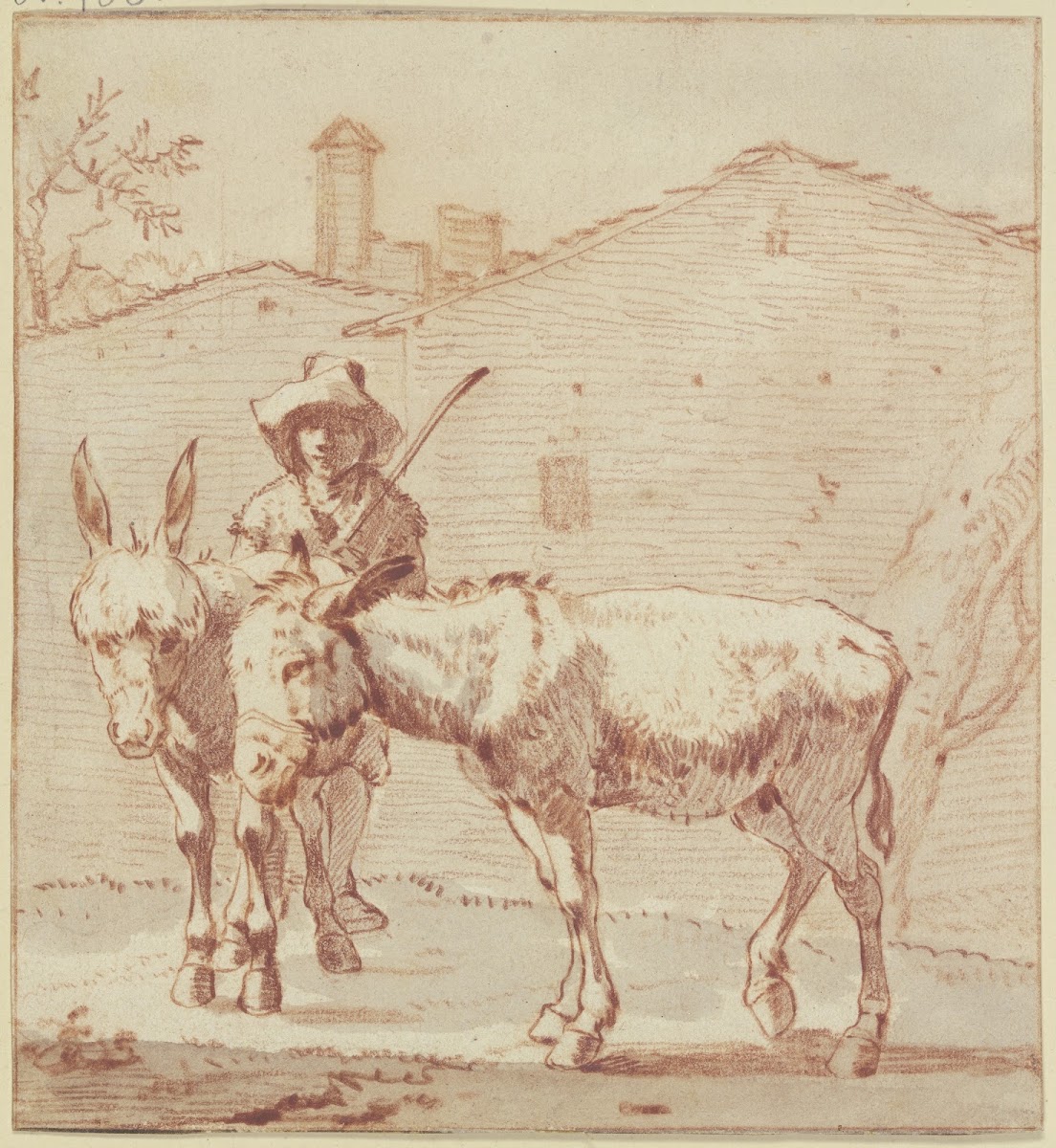 Two donkeys and their driver
