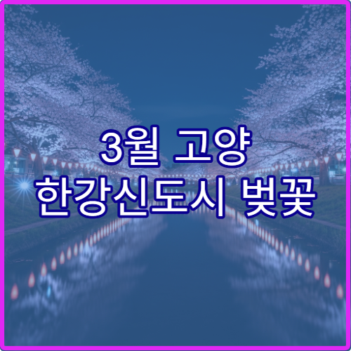 3월 고양 한강신도시 벚꽃 재방문 이유 솔직 후기