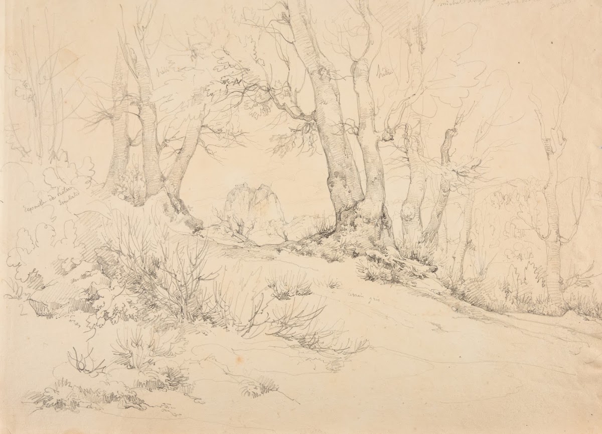 Sentier en forêt de montagne à Castellamare 1828