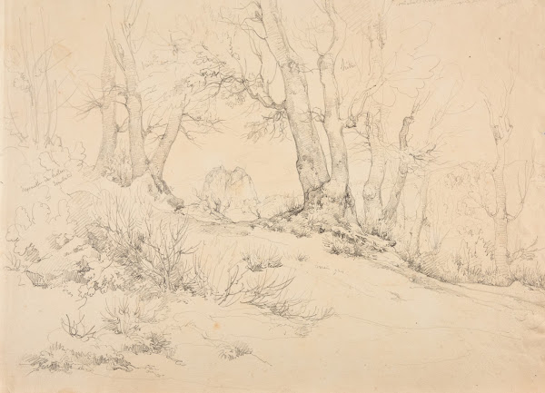 Sentier en forêt de montagne à Castellamare 1828
