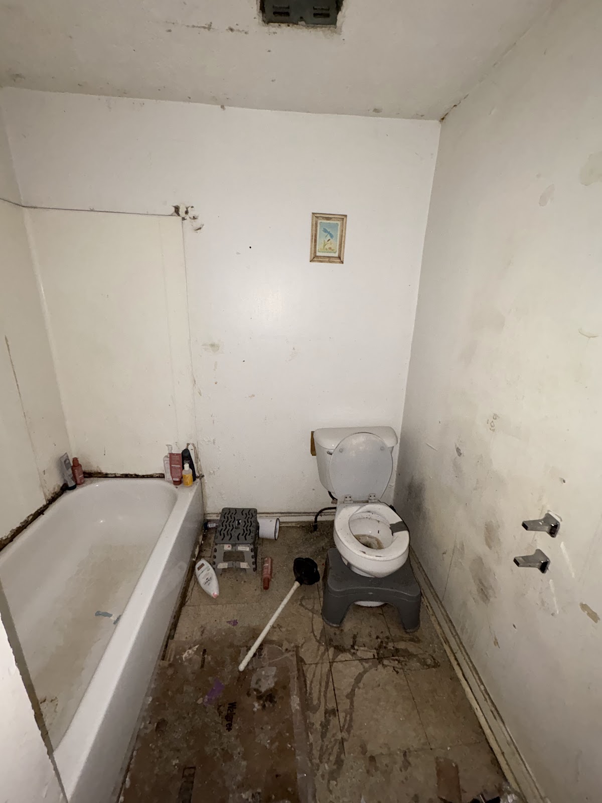 Copy of IMG_8183.HEIC