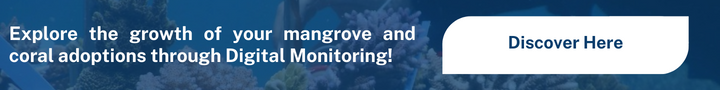 Explore the growth of your mangrove and coral adoptions through Digital Monitoring