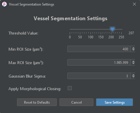 Vessel Segmentation Settings