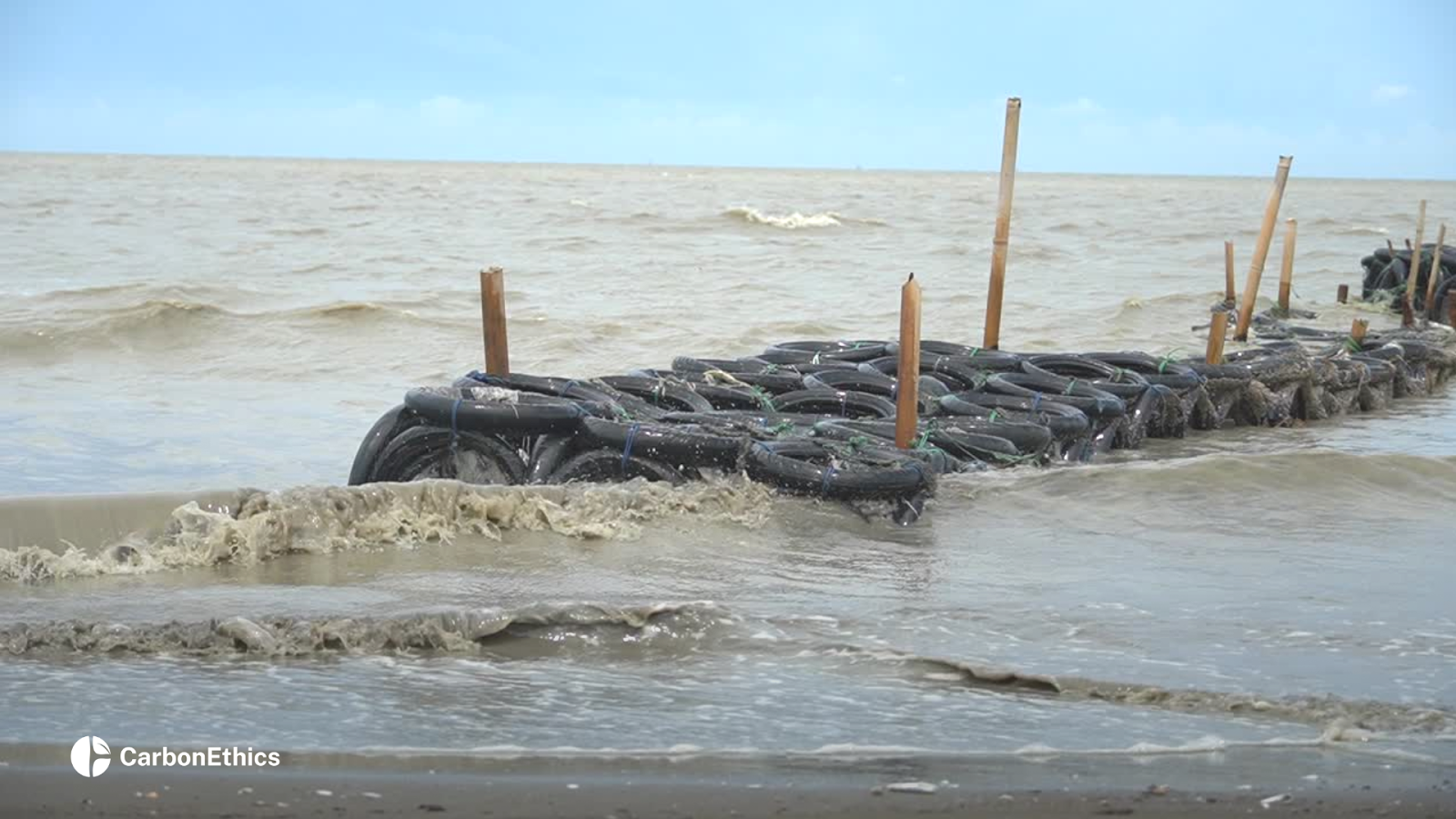 CarbonEthics and communities implemented a hybrid wavebreaker system which are traditionally constructed by local farmers using recycled materials like used tires