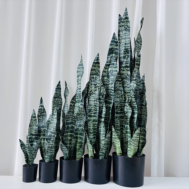 Kunstpflanze Sansevieria, 50 cm, PE