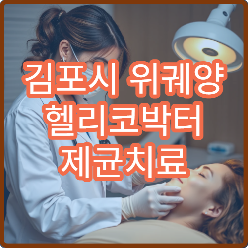 김포시 위궤양 헬리코박터 제균치료 성공률 정보