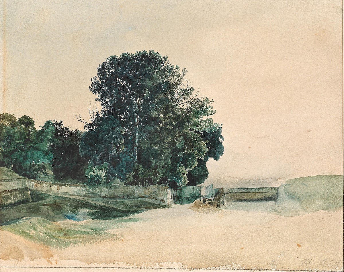 Study of tree c 1845