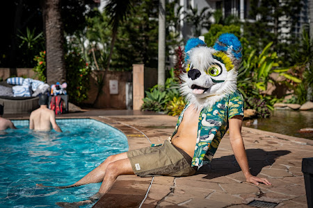 furdu-04032.jpg
