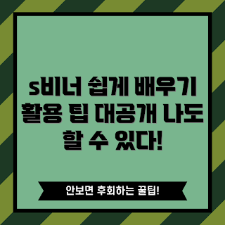 s비너 활용법, s비너 사용법, s비너 팁, s비너 추천, s비너 쉽게 배우기