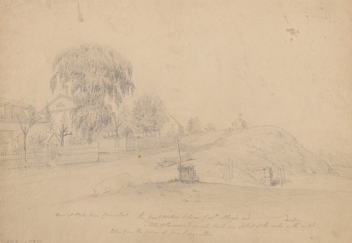 View at Mill River Connecticut the great willow tree between Captn Sturgis and a