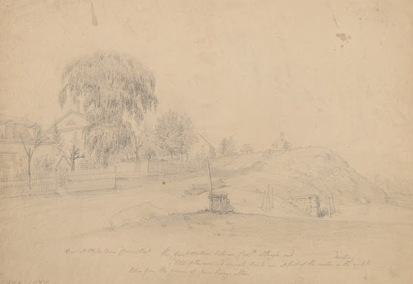 View at Mill River Connecticut the great willow tree between Captn Sturgis and a