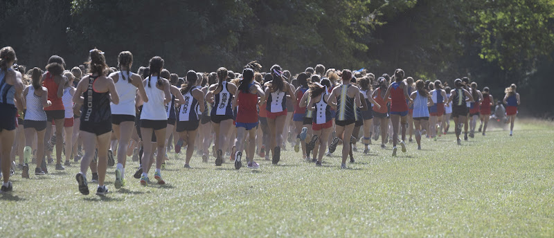 Photo from HS: Cross Country of Lexi Rascher