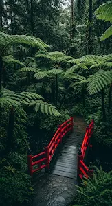 Red Oriental Bridge Over a Pond in a Lush, Dense Tropical or Japanese Garden
