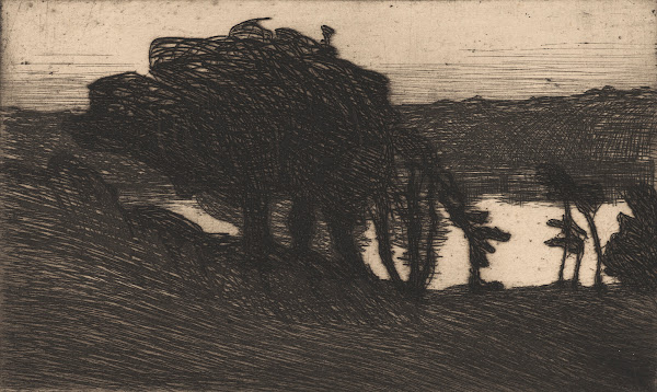 Paysage avec des arbres sombres et une rivière 1893