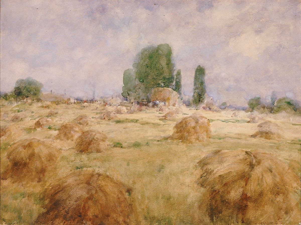 Field Of WheatShock