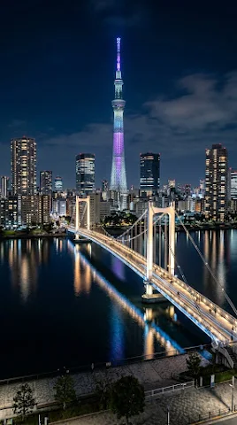 Tokyo Skyline with Illuminated Pedestrian Bridge