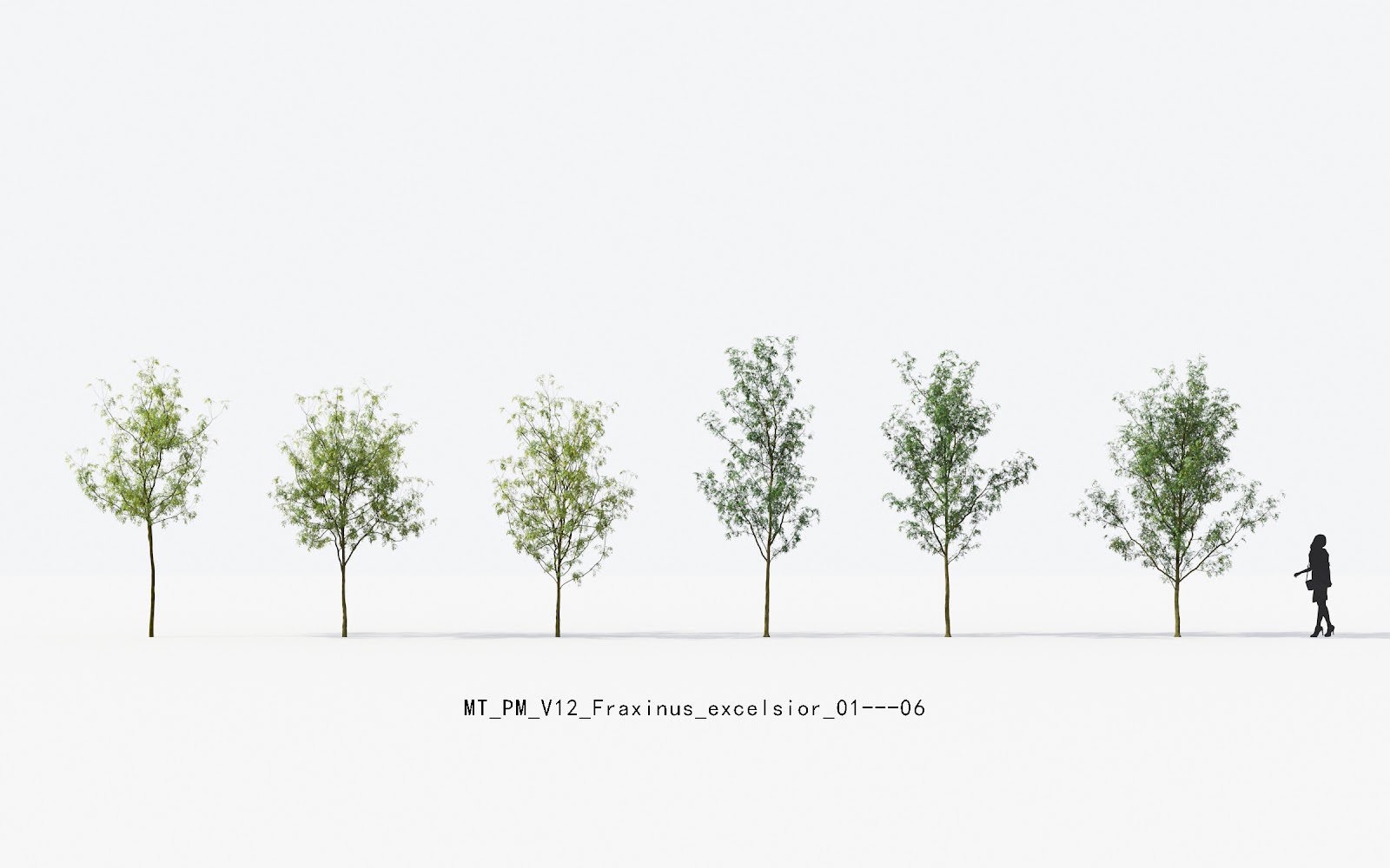 Maxtree - Plant Models Vol.12