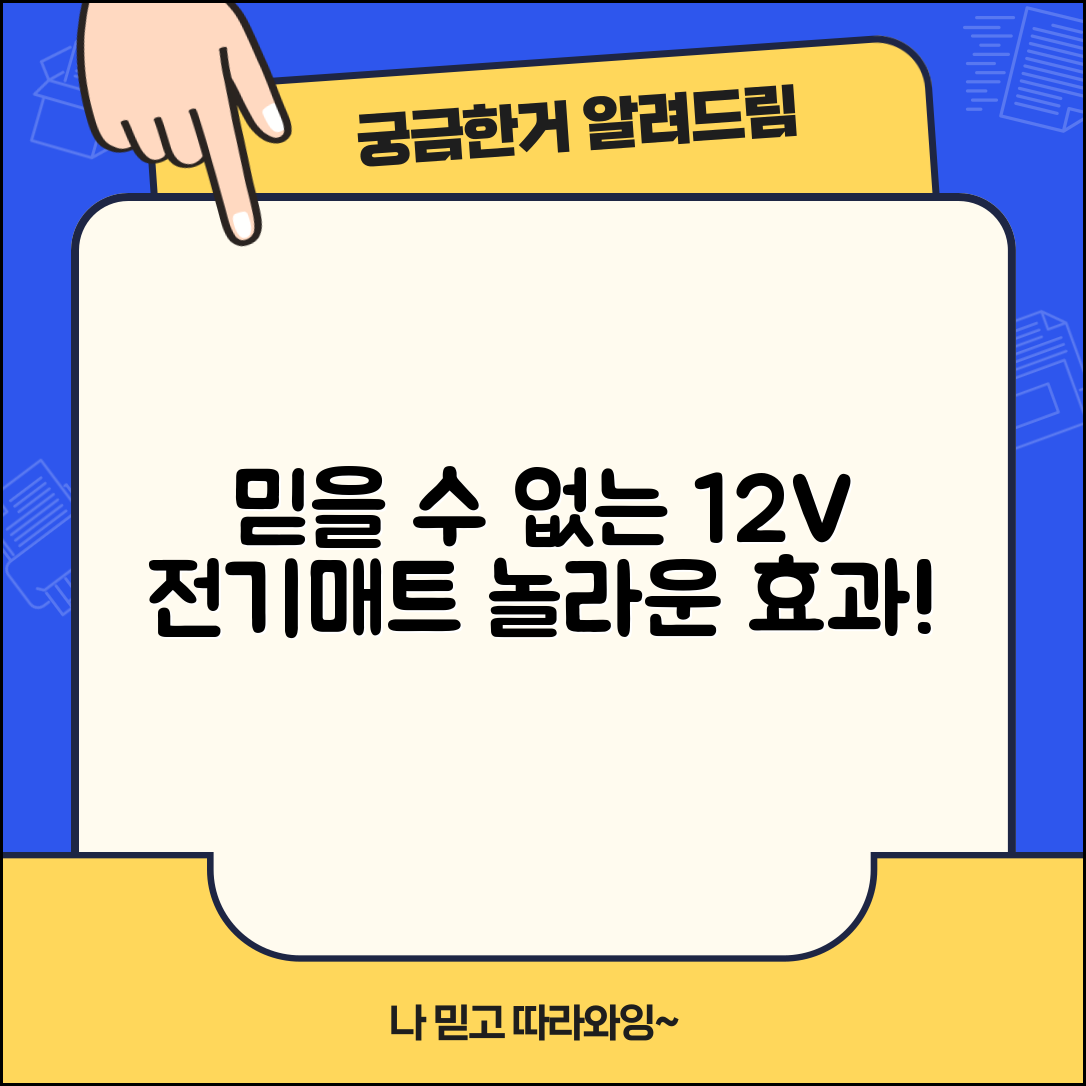 믿을 수 없는 12v전기매트의 놀라운 효과!