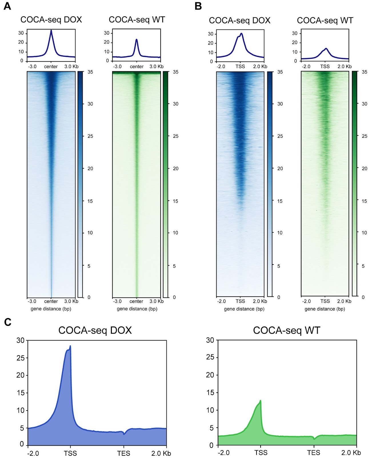 COCA-seq: genome-wide mapping of O-GlcNAc-associated open chromatin