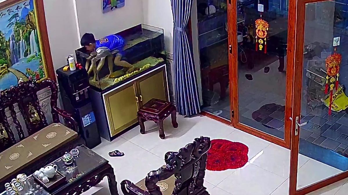 Cậu bé lẻn vào nhà hàng xóm trộm cá - Tạp chí Tri thức