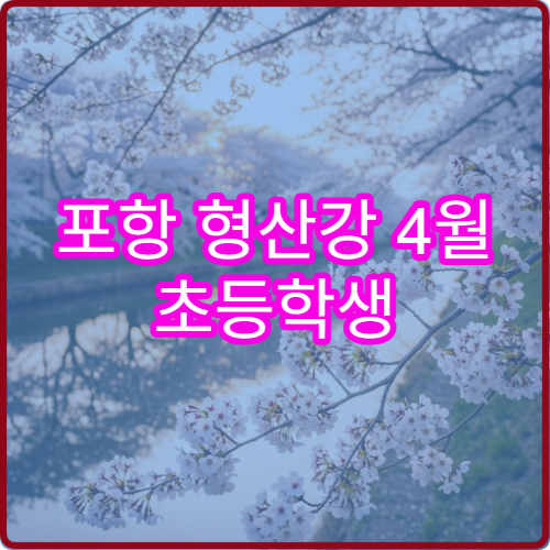 포항 형산강 4월 초등학생 동반 벚꽃 자전거 대여 안전 코스 추천