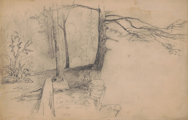 Trees near a precipice 1850