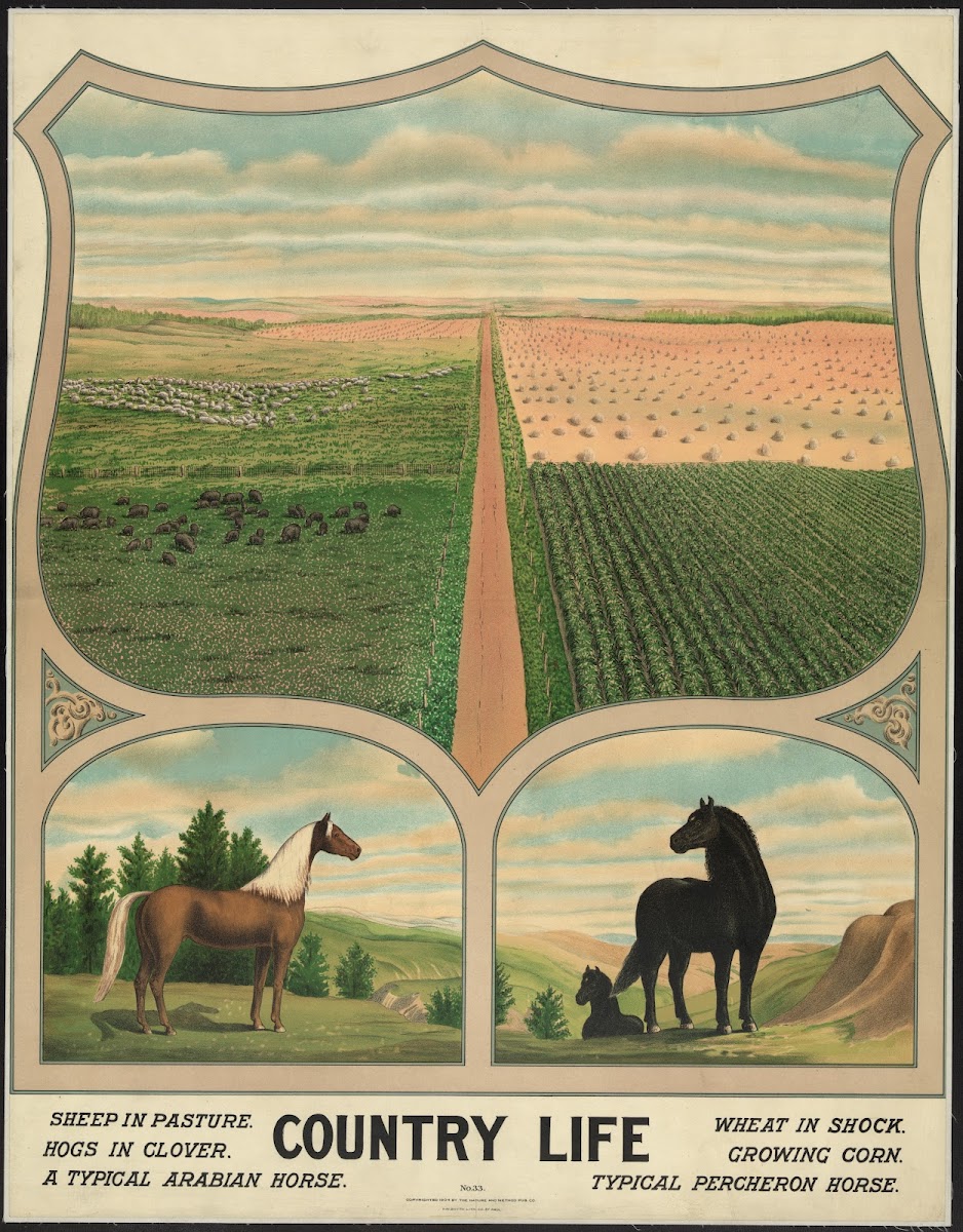 Country life 1904