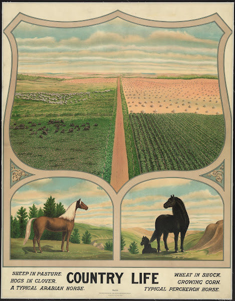 Country life 1904