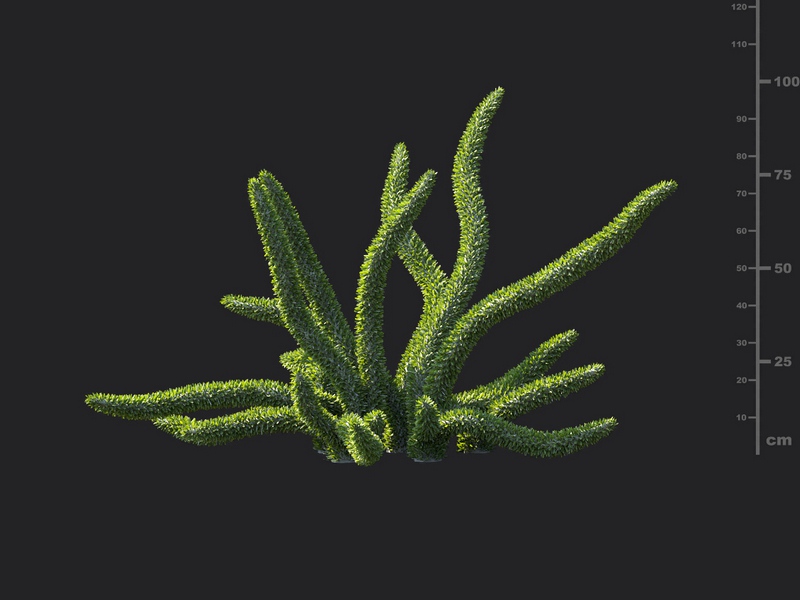 Maxtree - Plant Models Vol.130
