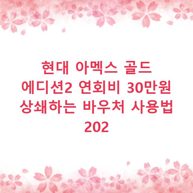 현대 아멕스 골드 에디션2 연회비 30만원 상쇄하는 바우처 사용법 202