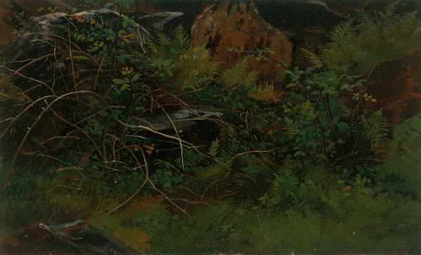 Study from Nature