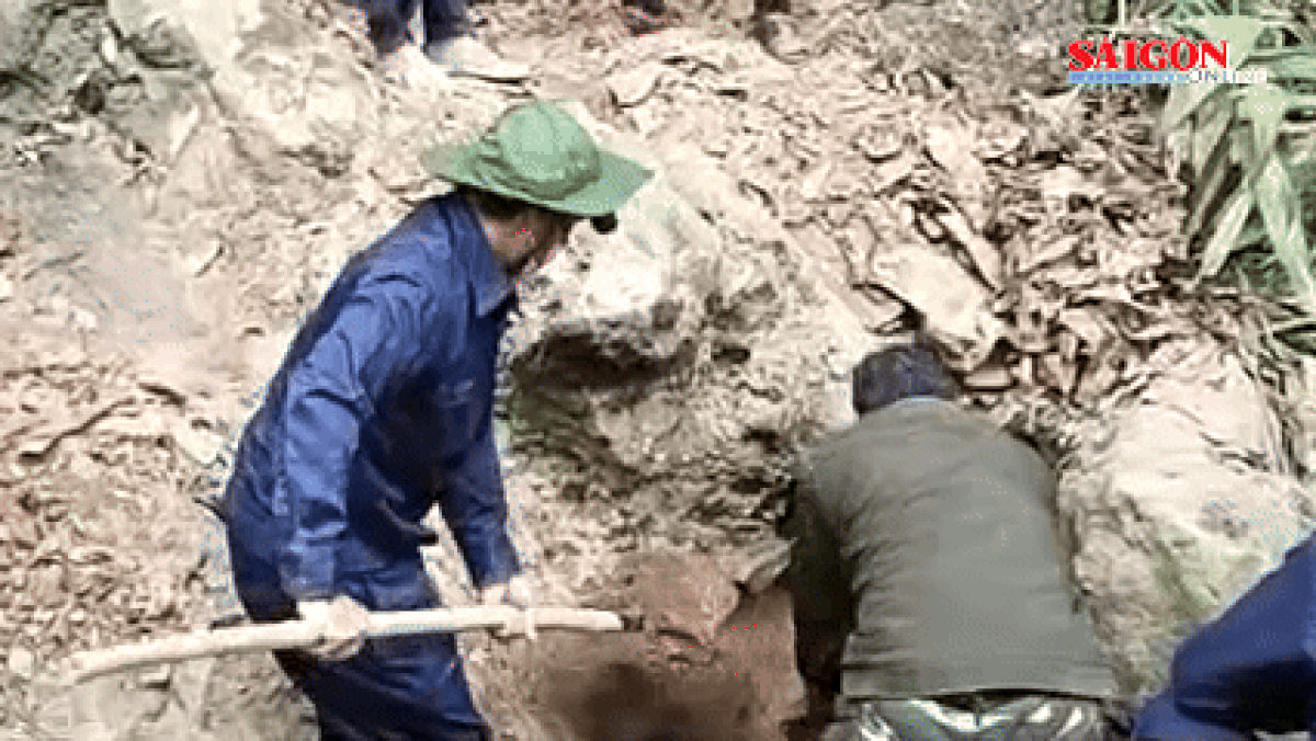 Băng rừng, vượt suối tìm kiếm, quy tập hài cốt liệt sĩ hy sinh tại Lào - Báo Sài Gòn Giải Phóng