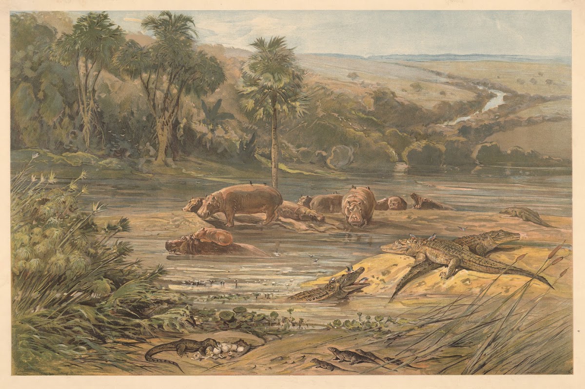 By a river in the interior of Africa 1920