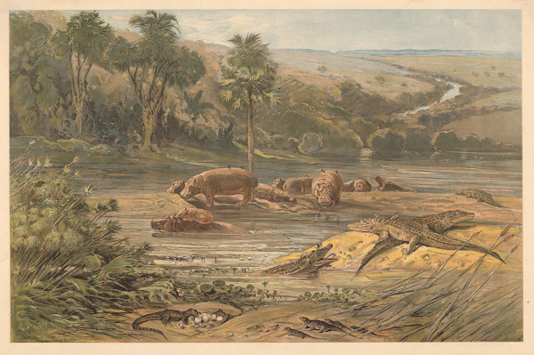 By a river in the interior of Africa 1920