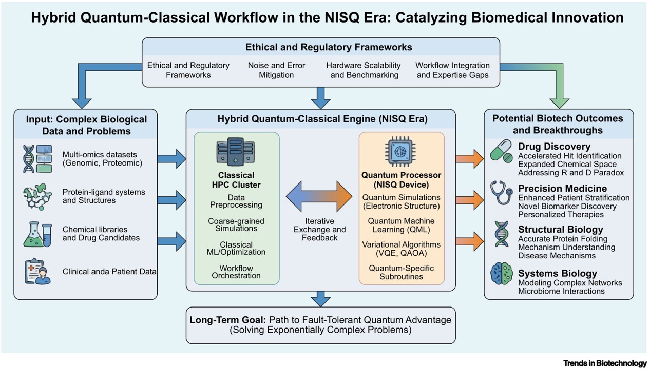 Quantum computing for biotechnological innovation