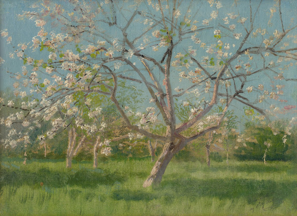 Study of Blooming Trees in an Orchard 19001910