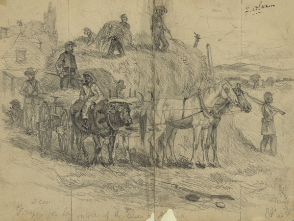 Foraging for hay outside of the lines in Virginia 1862
