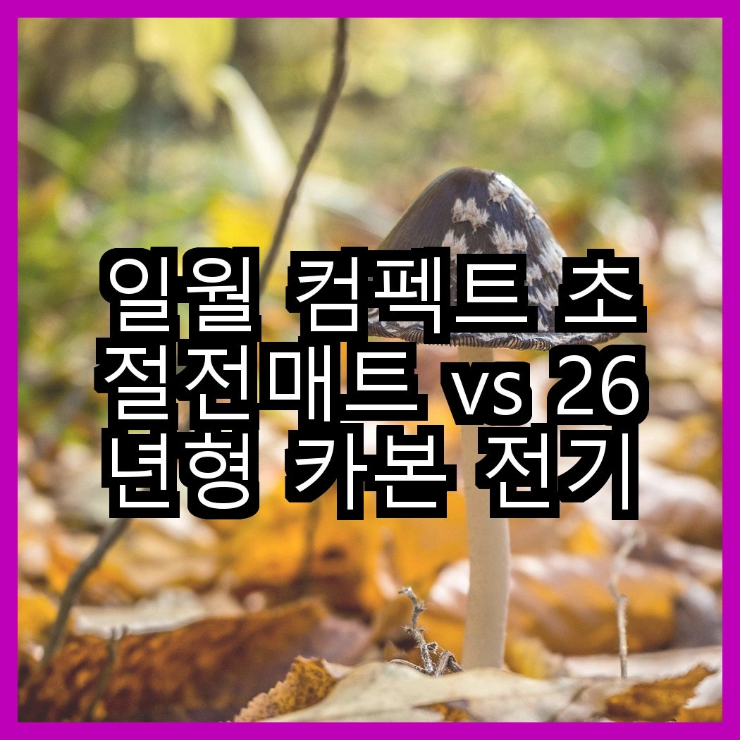 일월 컴펙트 초절전매트 vs 26년형 카본 전기매트, 어떤 선택이 더 따뜻할까? 썸네일
