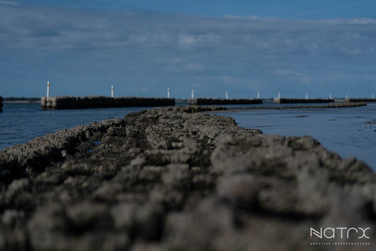 MY PRO PHOTOGRAPHER (178 of 243).jpg